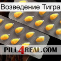 Возведение Тигра cialis2